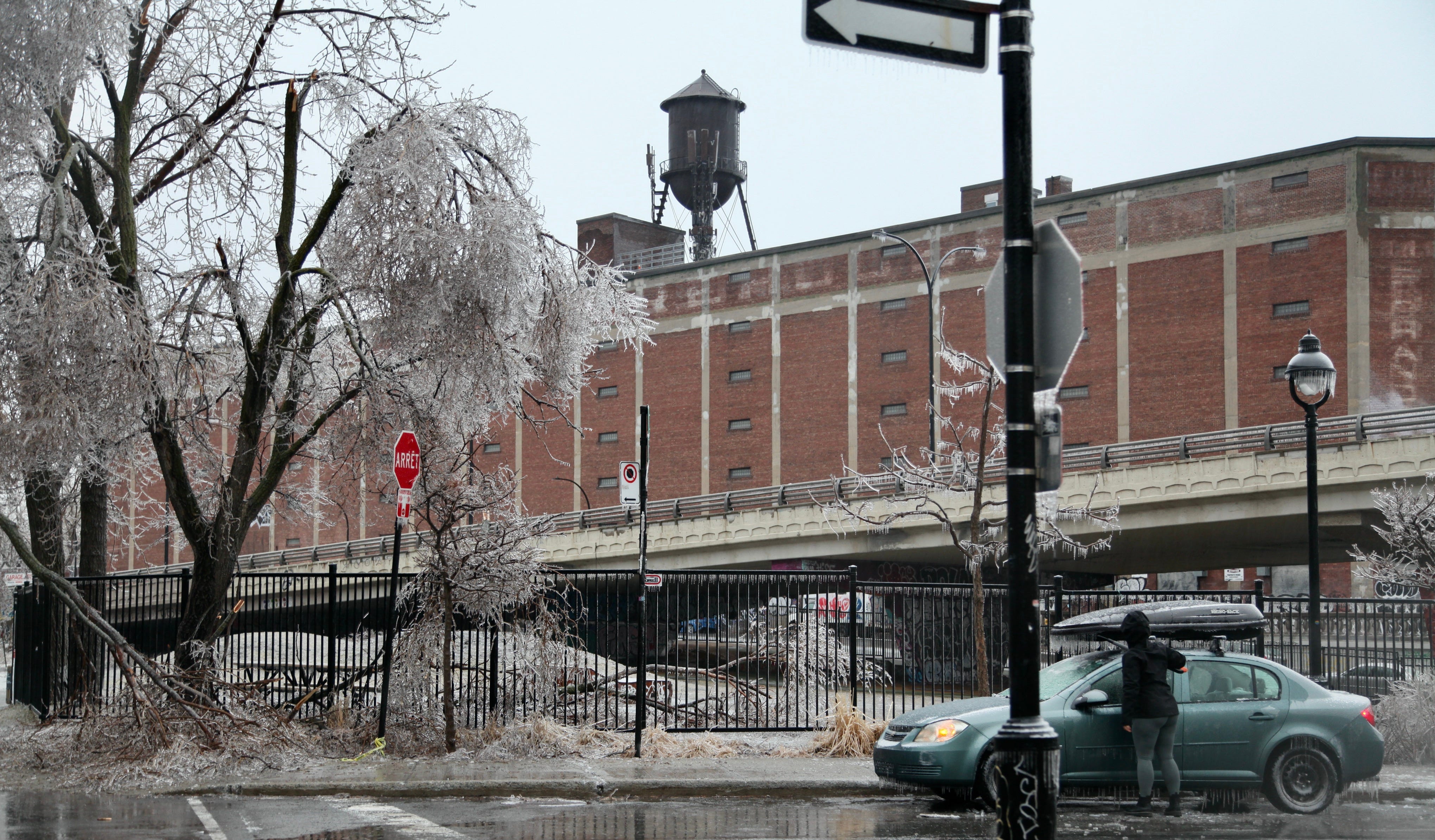 Cette photo montre l'entrepôt situé sur Van Horne, le parc Sans Nom et des branches cassées.