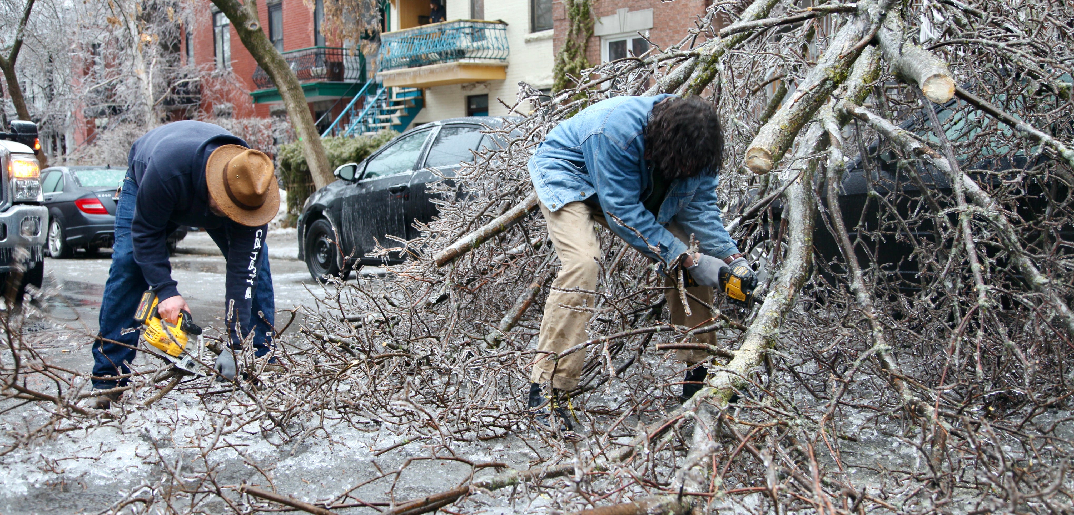 Cette photo montre deux personnes en pleine rue, penchées sur des branches avec des scies mécaniques.