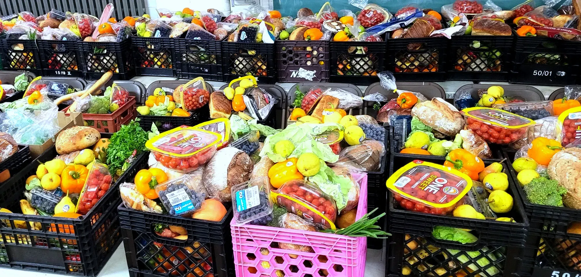 Plusieurs paniers alimentaires sont placés en rangés.