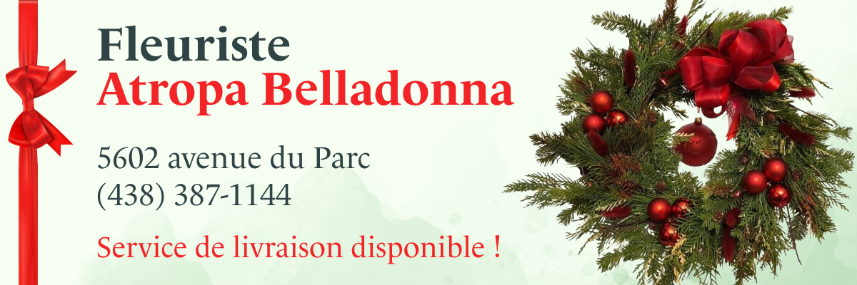 Fleuriste Stropa Belladonna, au 5602 avenue du Parc, (438) 387-1144, service de livraison disponible!