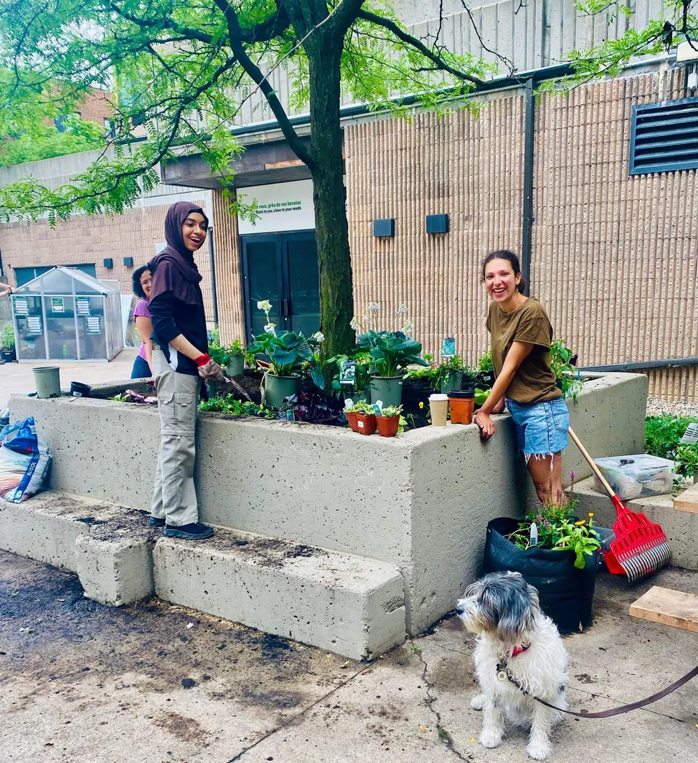 Mon Milton-Parc: Une piste, un parc et de la politique