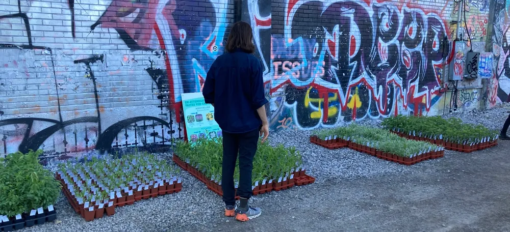 Mon Mile End: Protéger, planter et partager