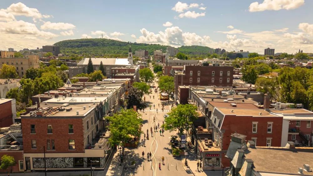 Piétonnisation 2025 de l'avenue du Mont-Royal
