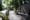 La piste cyclable protégée, bordée de végétation et d'arbres, en été.